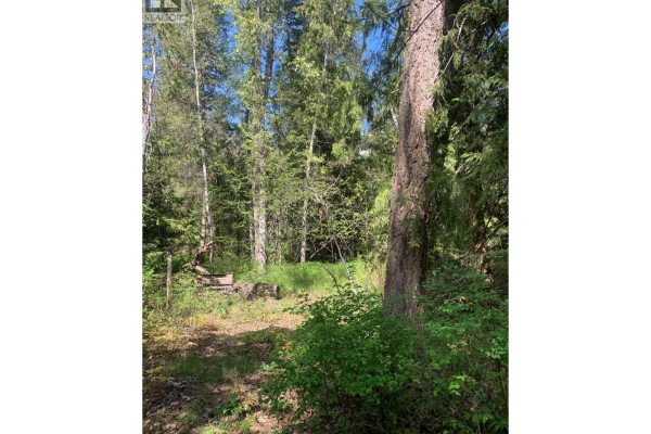 Lot A Squilax-anglemont Road, Lee Creek, BC V0E1M4 Photo 4
