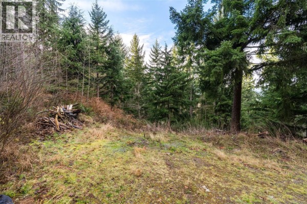 Lot A Strathcona Heights Rd, Shawnigan Lake, BC V8H2A9 Photo 4