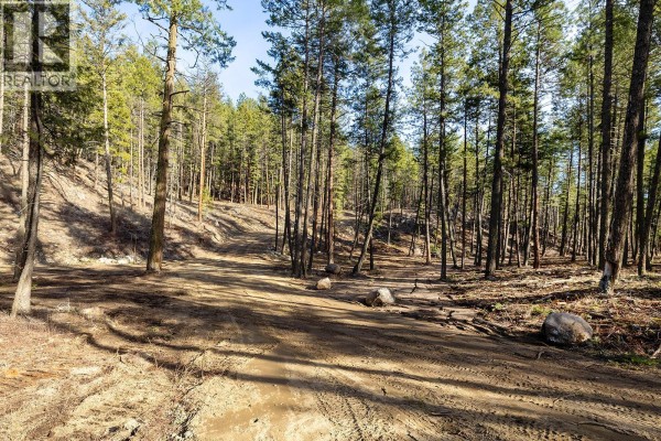 Lot A Trepanier Road, Peachland, BC, photo 3