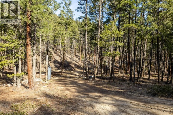 Lot A Trepanier Road, Peachland, BC V0H1X3 Photo 4