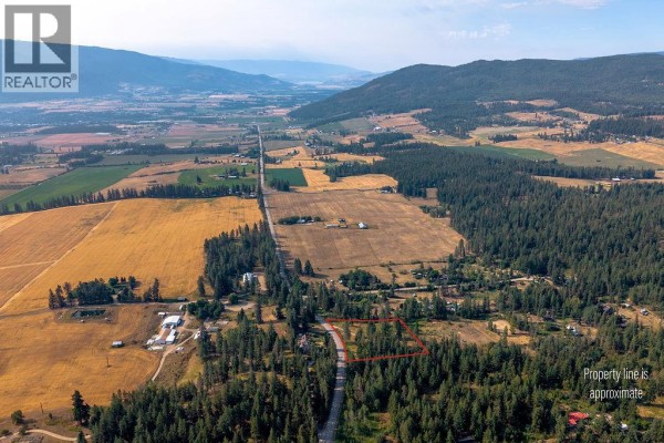Lot A Wyatt Road, Spallumcheen, BC V4Y0M5 Photo 4