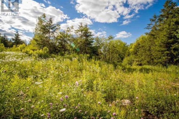 Lot A5 Aylesford Road, Lake Paul, NS B0P1C0 Photo 3