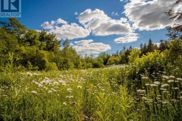 Lot A5 Aylesford Road, Lake Paul, NS B0P1C0 Photo 5
