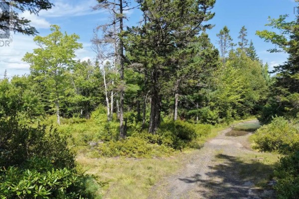 Lot Ar Fishpeddlers Road, Indian Path, NS B0J2X0 Photo 2