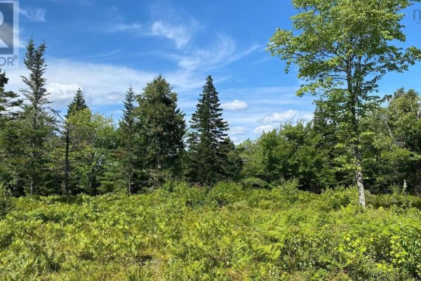 Lot Ar Fishpeddlers Road, Indian Path, NS B0J2X0 Photo 5