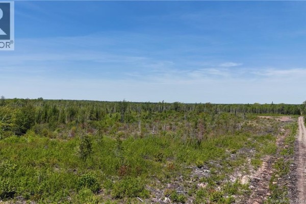 Aerial view of wooded area with outlined lot boundaries and surrounding properties. - Lot Arthur Symes Lane, Beersville