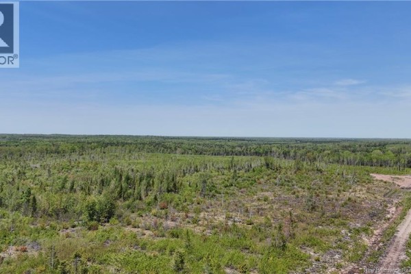 Satellite view of land with cleared areas and wooded sections near Emerson Road. - Lot Arthur Symes Lane, Beersville