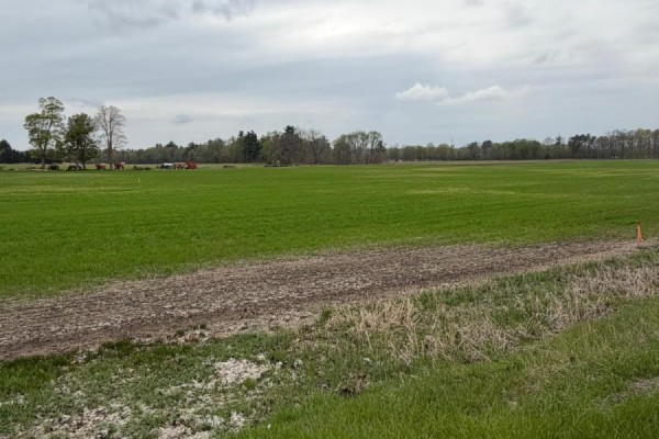 Lot B - 4929 Highway 59, Norfolk, ON N0J1E0 Photo 3