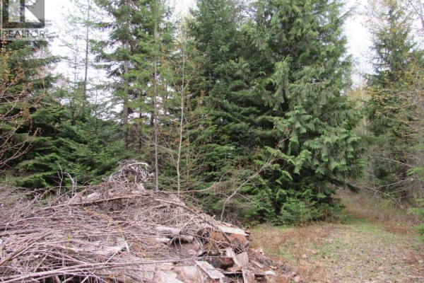 Lot B 3 Highway, Salmo, BC V0G1Z0 Photo 4