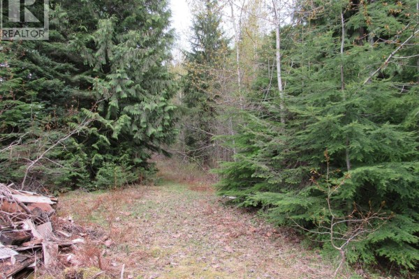 Lot B 3 Highway, Salmo, BC V0G1Z0 Photo 5