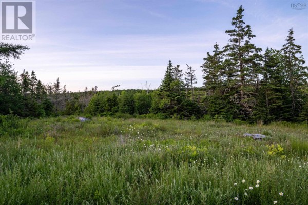 Lot B-4 Highway 7, Popes Harbour, NS B0J3H0 Photo 5