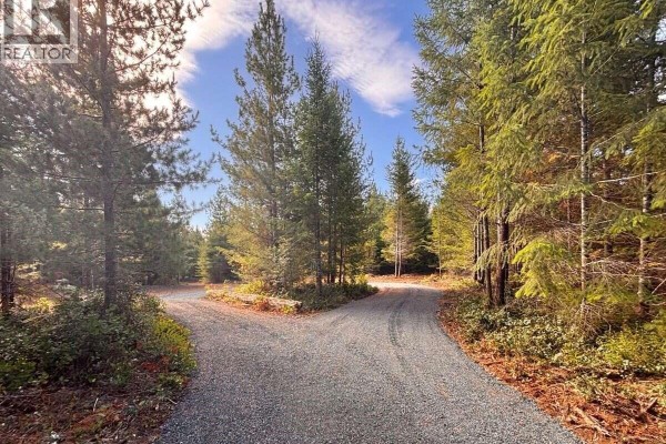 Gravel driveway splits, leading into a dense evergreen forest under a partly cloudy sky. - Lot B 6876 Danes Rd, Denman Island