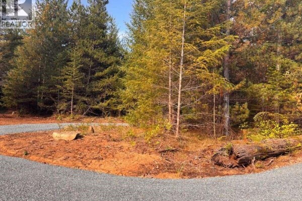 Entrance to a clearing in the woods with a gravel driveway, dirt, rocks, and fallen logs. - Lot B 6876 Danes Rd, Denman Island