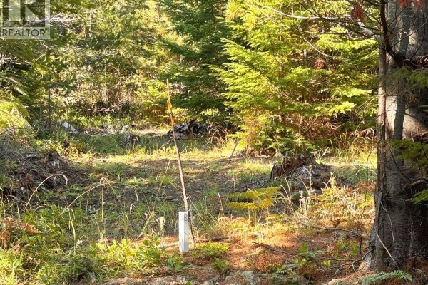 Survey marker with the number 8 stands in a clearing with grass and trees. - Lot B 6876 Danes Rd, Denman Island