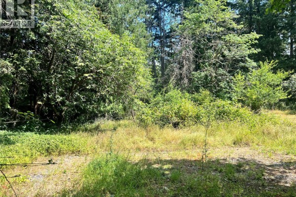 Lot B Chemainus Rd, Chemainus, BC V0R1K5 Photo 4