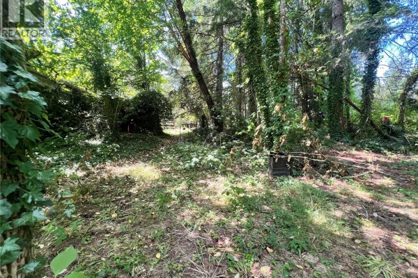 Lot B Chemainus Rd, Chemainus, BC V0R1K5 Photo 5