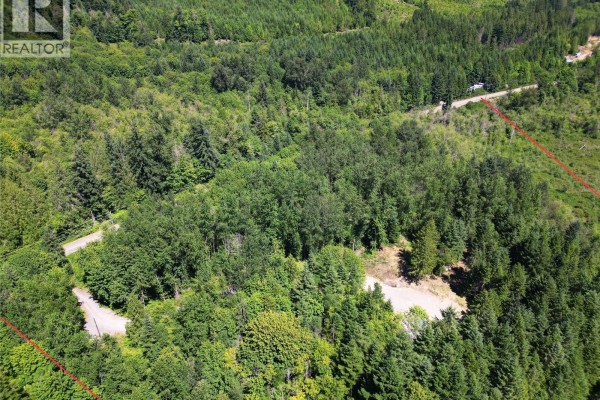 Lot B Cowichan Lake Rd, Lake Cowichan, BC, photo 2
