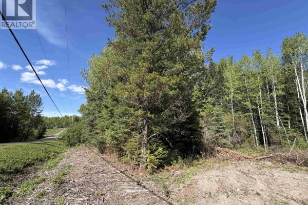 Lot B Eagleview Road, Shelley, BC V2K5E6 Photo 2
