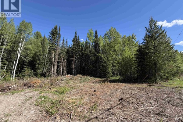 Lot B Eagleview Road, Shelley, BC V2K5E6 Photo 3