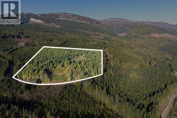 Lot B Forbidden Plateau Rd, Courtenay, BC V9J1L2 Photo 4