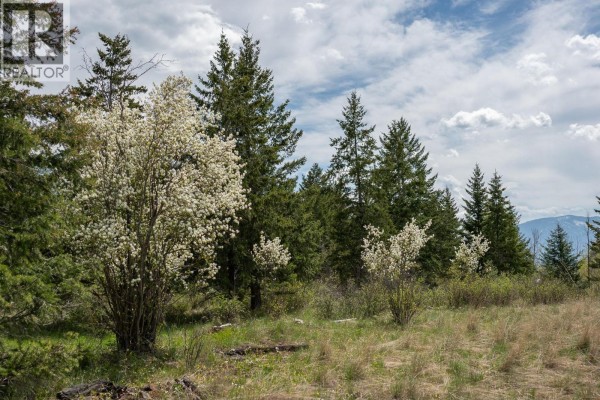 Lot B Phillips Road, Creston, BC, photo 3