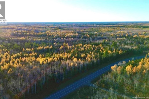 Lot B Route 126, Collette, NB E4Y2T3 Photo 3