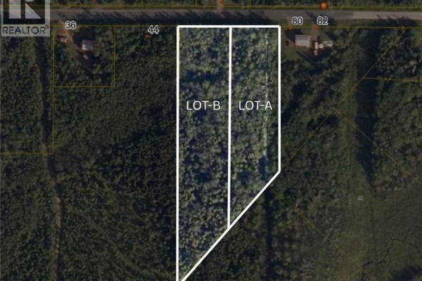 Lot B Saint Pierre, Rogersville, NB E4Y1L5 Photo 2