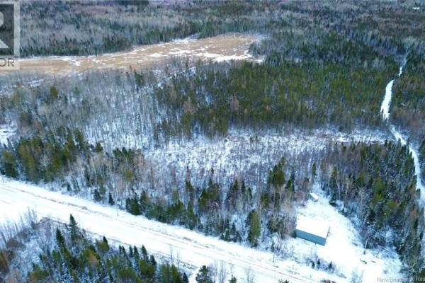 Lot B Saint Pierre, Rogersville, NB E4Y1L5 Photo 5