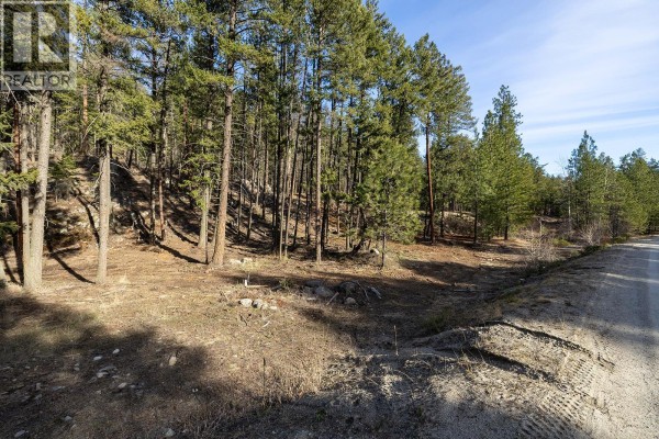 Lot B Trepanier Road, Peachland, BC, photo 2