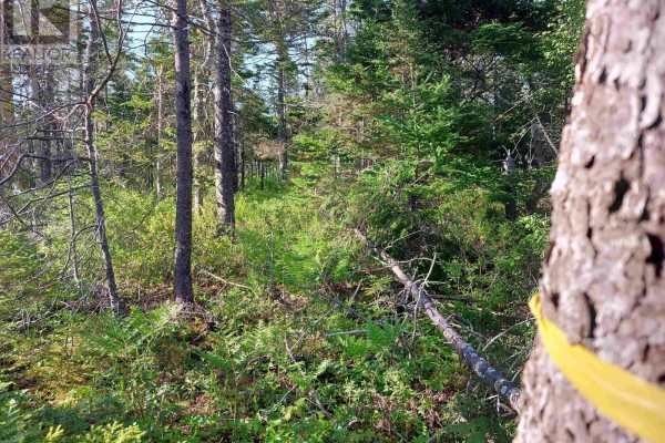 Lot B1 Katja Rose Dr, Hay Cove, NS B0E3B0 Photo 4