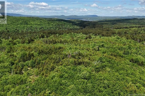 Lot Backland Road, Kingston, NB E5N1E4 Photo 4