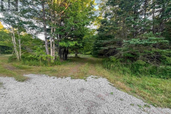 Lot Bangor Road, Bangor, NS B0W2L0 Photo 5