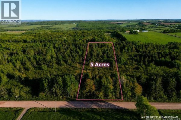 Lot Baseline Road, Cornhill, NB E4Z1J4 Photo 2