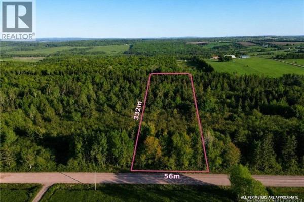 Lot Baseline Road, Cornhill, NB E4Z1J4 Photo 3