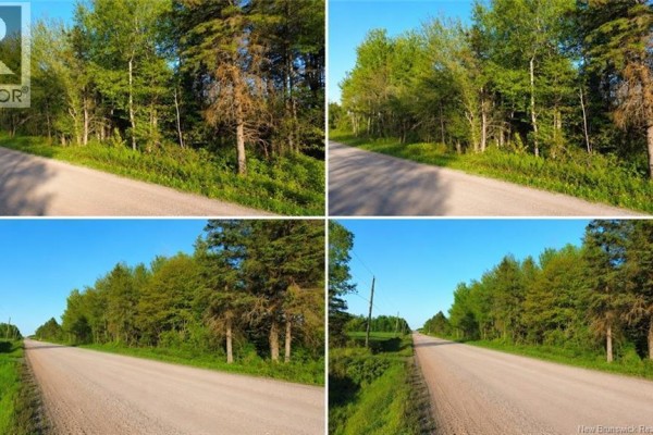 Lot Baseline Road, Cornhill, NB E4Z1J4 Photo 4