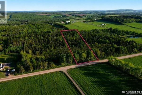 Lot Baseline Road, Cornhill, NB E4Z1J4 Photo 5