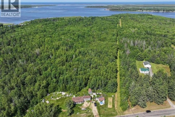 Aerial view of property with dense trees, featuring houses along a road and water in the distance. - Lot Bedec Road, Richibucto Village