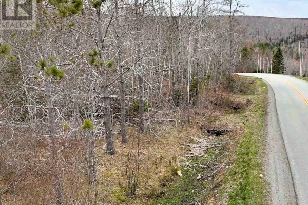 Lot Bm-1 Marble Mountain Road, West Bay Marshes, NS B0E3K0 Photo 4