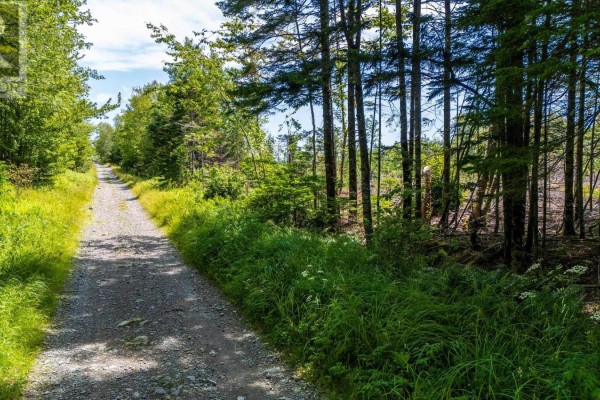 Lot Bonnenfant Road, Church Point Station, NS B0W1M0 Photo 3