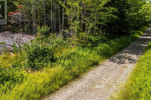 Lot Bonnenfant Road, Church Point Station, NS B0W1M0 Photo 4
