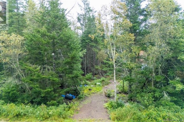 Lot Brooklyn Road, Midgic, NB E4L1W3 Photo 4