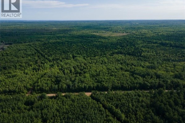 Lot Brown Road, Richibucto, NB E4W2P6 Photo 3