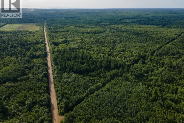 Lot Brown Road, Richibucto, NB E4W2P6 Photo 4