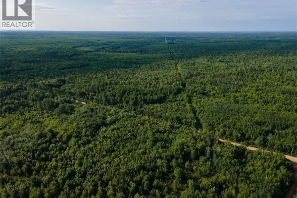 Lot Brown Road, Richibucto, NB E4W2P6 Photo 5