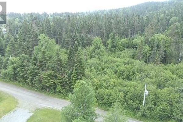 Lot Bungalow Hill, Spruce Brook, NL, photo 3