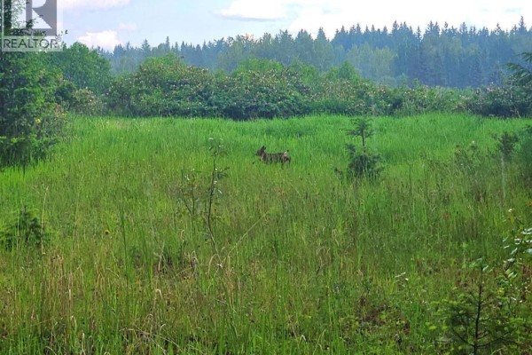 Lot C Norwood Road, Quesnel, BC V2J7B9 Photo 5