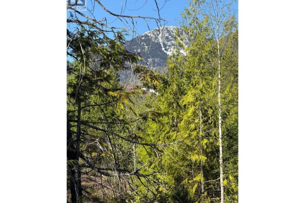 Lot C Richie Road, Rossland, BC V0G1Y0 Photo 5