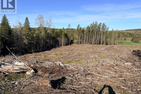 Lot C Smith Road, Titusville, NB E5N3T9 Photo 4