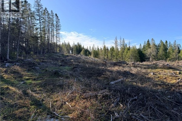 Lot C Smith Road, Titusville, NB E5N3T9 Photo 5