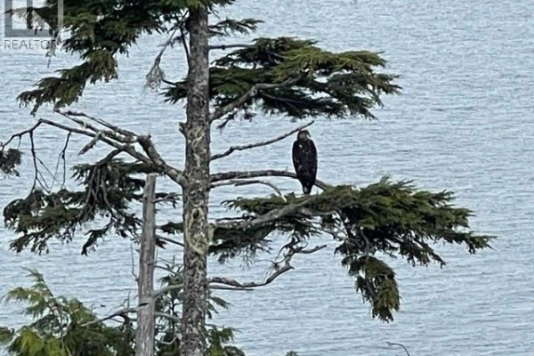 Lot C Telegraph Cove, Telegraph Cove, BC V0N2R0 Photo 4